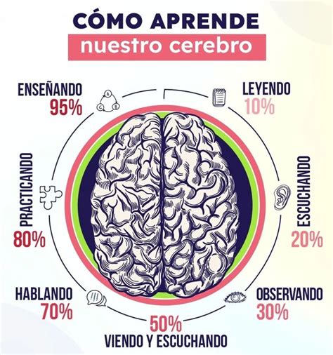 Como Aprende El Cerebro