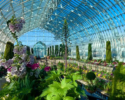 como conservatory flower show