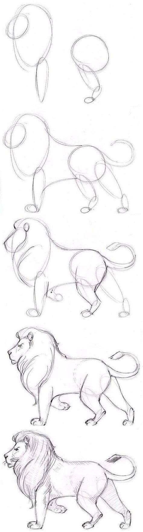 Como Dibujar Animales Aprender A Dibujar Paso A P
