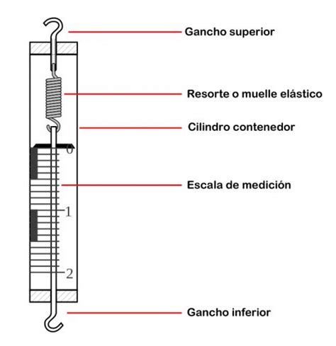 Como Es Un Dinamometro