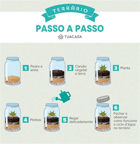 Como Fazer Terrario
