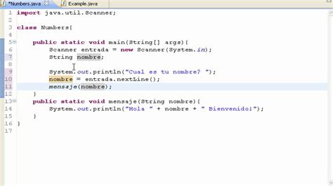 como introducir un parametro en java