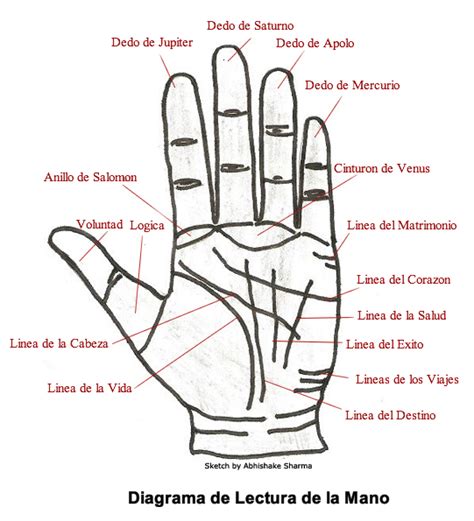 Como Leer La Mano