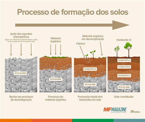 Como O Solo é Formado