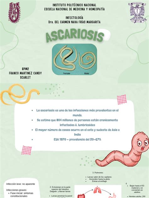 Como Prevenir Ascariasis