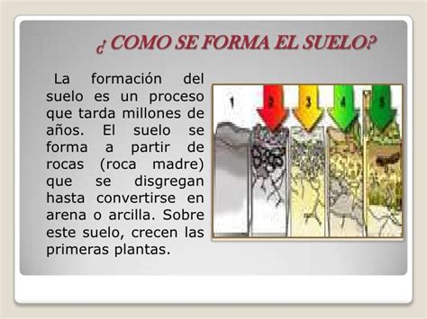 Como Se Forma El Suelo