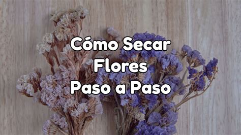 Como Secar Flores