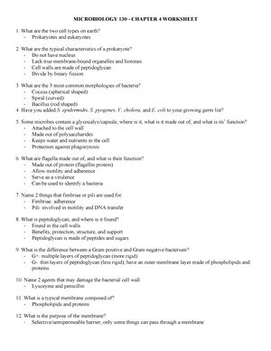 Comp Chapter 4 Worksheet Microbiology 130 Studocu Bacterial Cell Worksheet Answers - Bacterial Cell Worksheet Answers