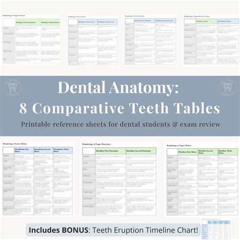 Comparative Dental Anatomy