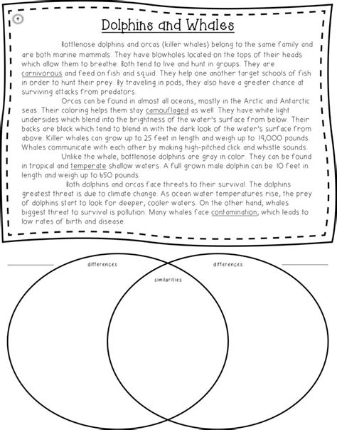 Compare And Contrast 4th Grade Worksheets Twinkl Usa Compare And Contrast Activities 4th Grade - Compare And Contrast Activities 4th Grade
