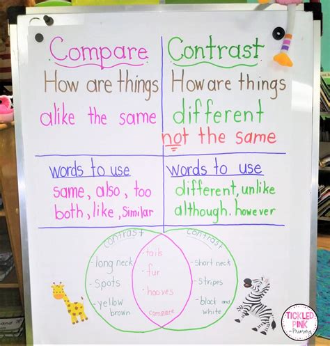 Compare And Contrast For Second Grade   Compare And Contrast Worksheets 2nd Grade - Compare And Contrast For Second Grade