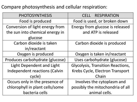 Read Compare And Contrast Photosynthesis And Cellular Respiration 