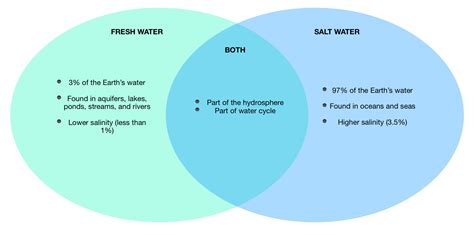 Comparing Fresh And Salt Water Water The Universal Solvent Worksheet - Water The Universal Solvent Worksheet