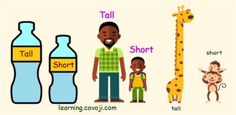 Comparing Heights Tall Vs Short Set 3 Your Tall Letters And Short Letters Worksheet - Tall Letters And Short Letters Worksheet