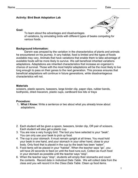 Read Online Comparing Adaptations Birds Answer Key 