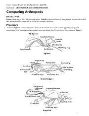 Download Comparing Arthropods Lab Answers 