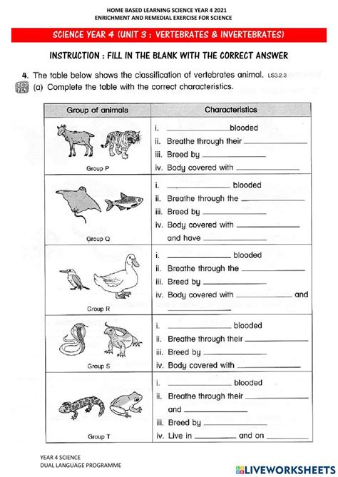 Full Download Comparing Invertebrates Chapter Vocabulary Review Answers 