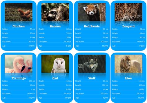 Comparison Cards For Animals That Are Alike And Alike And Different Activities - Alike And Different Activities