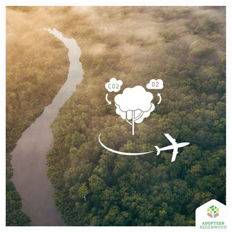 compenseren definitie