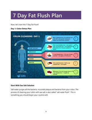 Complete Fat Flush Plan Set Fat Flush Plan Fat Flush Cookbook Fat Flush Fitness Plan Fat Flush Forever Fat Flush Foods Fat Flush Journal And Shopping Guide The Fat Flush Plan