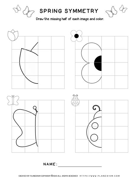 Complete The Drawing Using Symmetry Activity Sheet Twinkl Complete The Drawing Activity - Complete The Drawing Activity