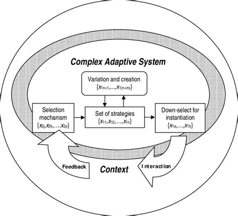 Complex Adaptive Systems In The Behavioral And Social Sciences