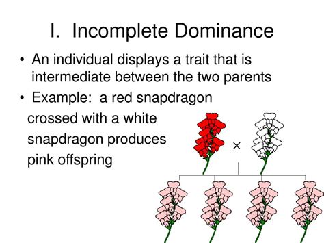 Complex Patterns Of Inheritance 310 Plays Quizizz Complex Inheritance Worksheet Answers - Complex Inheritance Worksheet Answers