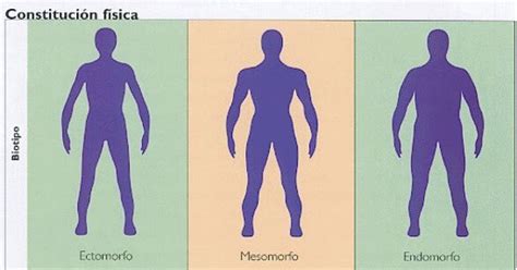 Complexion Fisica