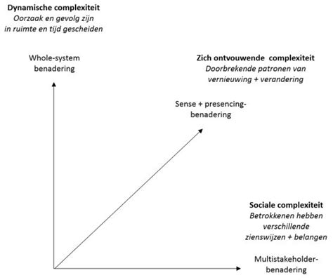 complexiteit theorie