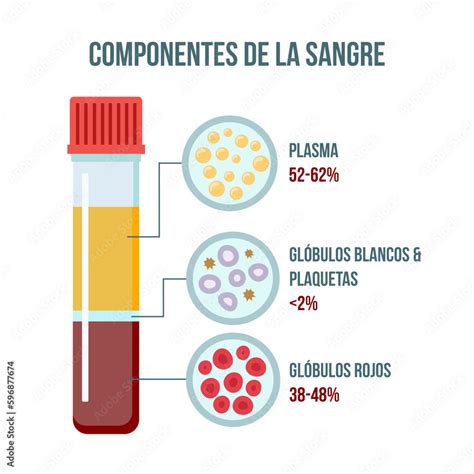 Componentes De La Sangre