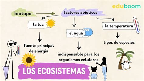 Componentes De Los Ecosistemas