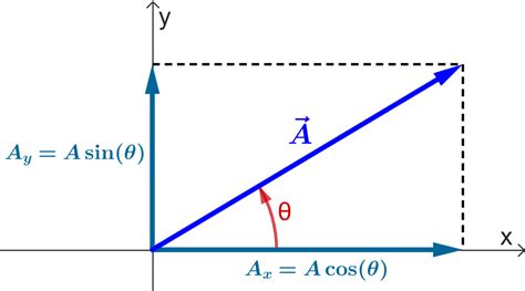 Componentes De Un Vector