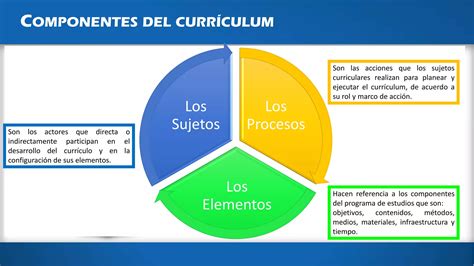 Componentes Del Curriculum