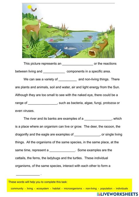 Components Of An Ecosystem Worksheet Live Worksheets Parts Of An Ecosystem Worksheet - Parts Of An Ecosystem Worksheet