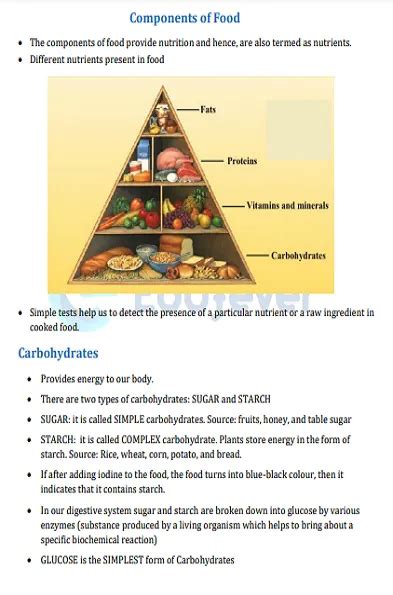 Components Of Food Class 6 Worksheet