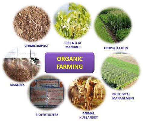 Components Of Organic Farming
