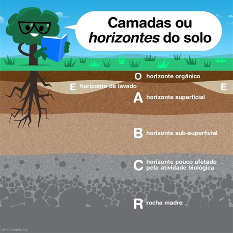 Composição Dos Solos