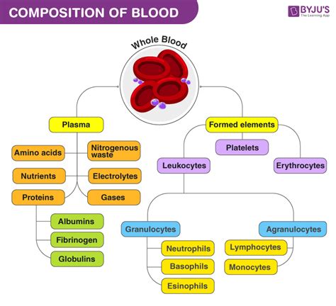 Composition And Function Of Blood