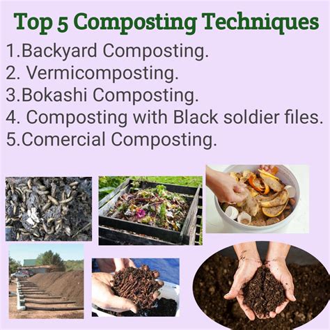 Compost Creativity Try Various Methods And Test Soil Compost Science Experiments - Compost Science Experiments