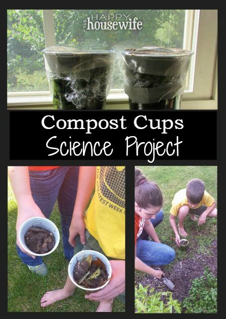 Compost Cups Science Project The Happy Housewife Home Compost Science Experiments - Compost Science Experiments