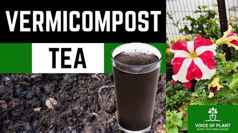 Compost Vermicompost And Compost Tea Feeding The Soil On The Organic Farm Organic Principles And Practices Handbook
