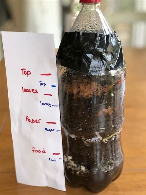 Composting Experiment For Kids Clearway Community Solar Compost Science Experiments - Compost Science Experiments