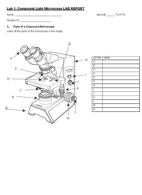 Compound Light Microscope Lab Report Answers