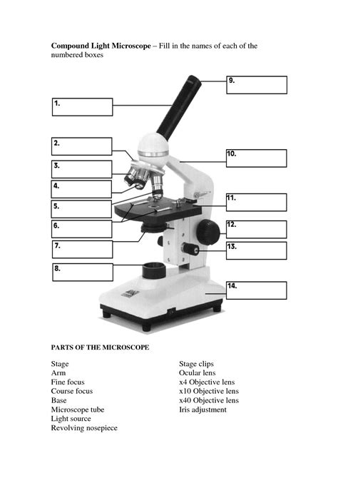 Compound Light Microscope Worksheet Answers   Parts Of A Microscope Worksheet - Compound Light Microscope Worksheet Answers