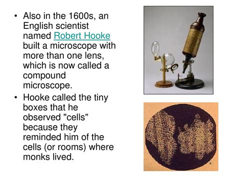 compound microscope robert hooke biography