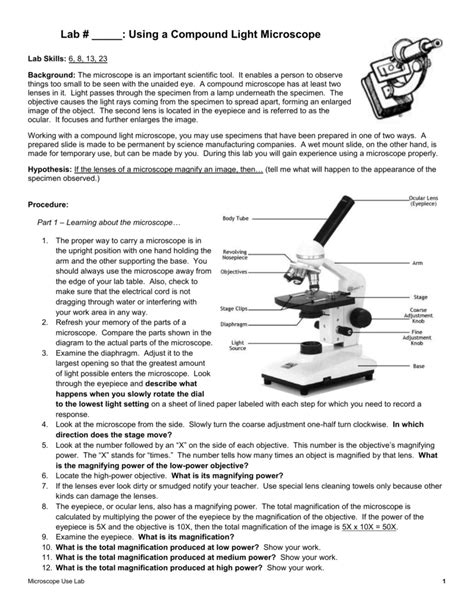 Read Online Compound Microscope Lab Answers 
