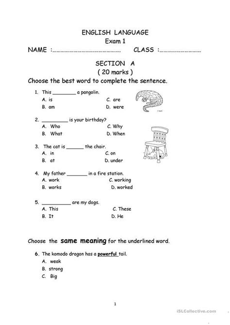 Full Download Comprehension Test Papers Year 3 