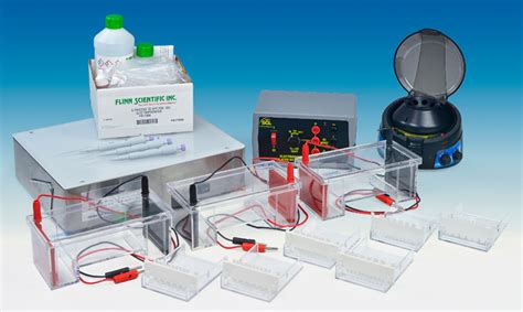 Comprehensive Biotechnology