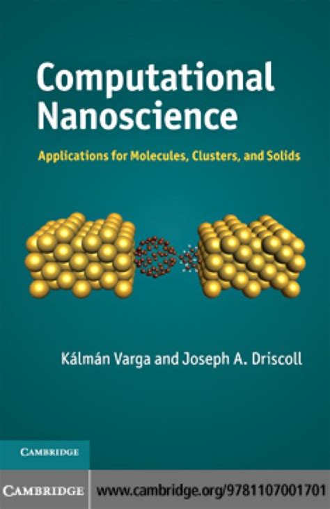 Computational Nanoscience Applications For Molecules Clusters And Solids