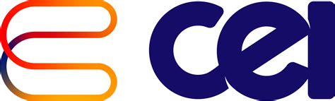 Computer Enterprises Inc
